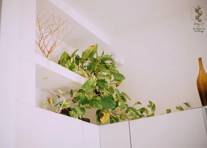 Interno Otto Con Bellissima Terrazza E Gazebo Apartamento